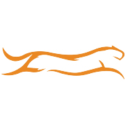 shipping logo 01
